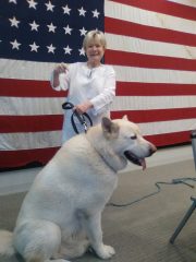 Volunteer to Help Veterans